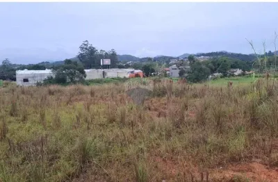 Terreno à venda na Rua Deputado Aldo Pereira de Andrade, 00, Benedito, Indaial