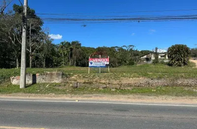 Terreno industrial à venda em indaial na rua dr: blumenau
