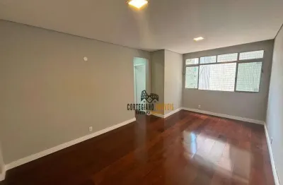Apartamento com 2 dormitórios/2 banheiros/elevador/garagem demarcada à venda - campo grande - santos!