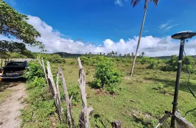 Fazenda/sítio/chácara para venda possui 40,93 tarefas em zona rural - conde - ba
