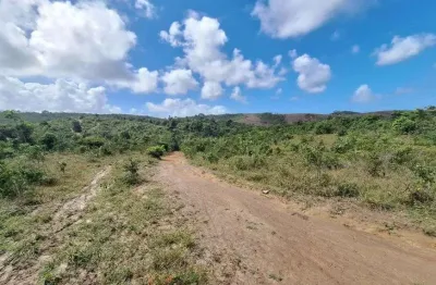 Chácara / sítio à venda no Centro, Conde 