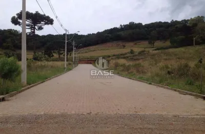 Terreno à venda na Estrada Municipal Avelina Tomazzoni Piccoli, 808, Monte Bérico, Caxias do Sul