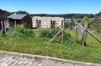 Terreno à venda na Rua Francisco José Brambatti, 0001, Jardim Iracema, Caxias do Sul