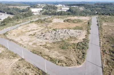 Terreno à venda na Rodovia Br116, Cidade Nova, Caxias do Sul