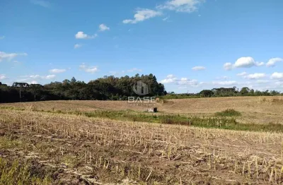 Terreno à venda no Industrial, Farroupilha 