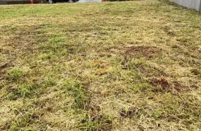 Um lote já escriturado e quitado setlaife ll . mirassol .