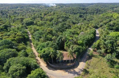 Terreno para venda em camaçari, cachoeirinha (abrantes), 3 banheiros, 99 vagas