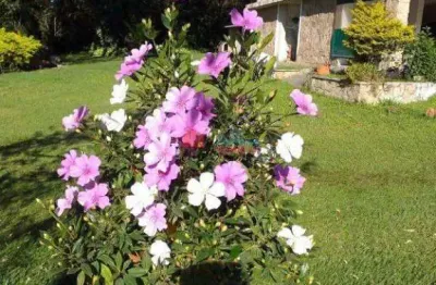Chácara / sítio com 4 quartos à venda na Estrada Engenheiro Paulo de Campos Fessel, 141, Dois Córregos, Valinhos