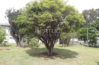 Chácara / sítio com 4 quartos à venda na Rua Amérope Benetti, 486, Área Rural de Vinhedo, Vinhedo