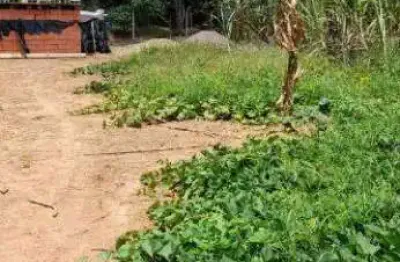 Terreno comercial para alugar na Rua Gervásio Manoel Cândido, Lote 1, Chácaras São Bento, Valinhos
