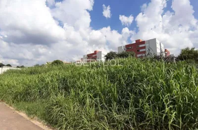 Terreno comercial para alugar no Pinheirinho, Vinhedo 