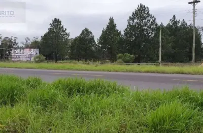 Excelente área de terra na estrada do mar em osório rs