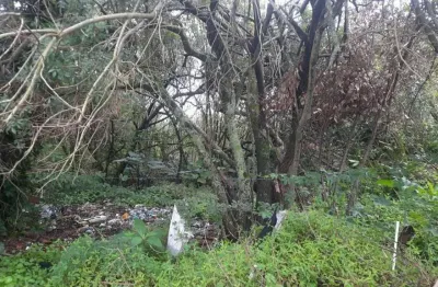 Excelente terreno com 2650 de área própria para construção de pequeno condomínio