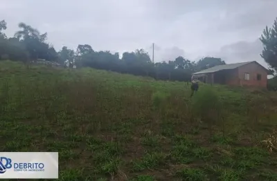 Chácara para venda em viamão, morrinhos, 2 dormitórios, 1 banheiro