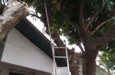 Casa com 3 quartos à venda no Cristo Rei, São Leopoldo 