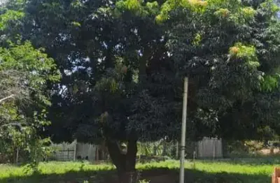 Chácara para venda em gravataí, costa do ipiranga, 1 dormitório, 1 banheiro
