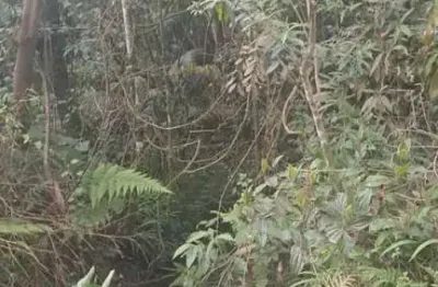 Chácara / sítio à venda na Estrada Do Tombdor - Arroio Grande, 8530, Arroio Grande, Osório