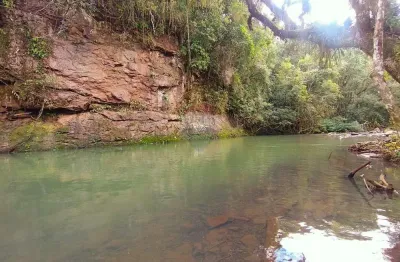Chácara / sítio com 3 quartos à venda no Centro, Rolante 
