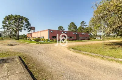 Ponto comercial com 1 sala para alugar na Berlim, 355, Dom Rodrigo, São José dos Pinhais