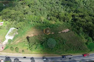 Terreno comercial para alugar na Rua Vereador Admar Bertolli, 2812, Lamenha Grande, Almirante Tamandaré