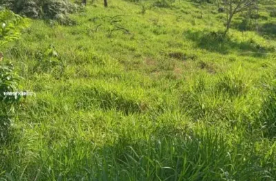 Fazenda à venda na Avenida Goiás, Centro, São Félix do Xingu