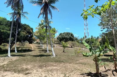 Chácara / sítio com 3 quartos à venda no Eduardo Gomes, São Cristóvão 