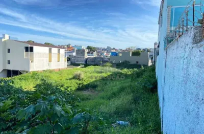 Terreno à venda, 1475 m² por r$ 1.480.000,00 - jardim atlântico - florianópolis/sc