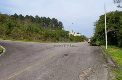 Terreno em condomínio fechado à venda na Rua Francelina Domingos de Jesus, Roçado, São José
