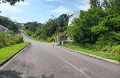 Terreno em condomínio fechado à venda na Rua Francelina Domingos de Jesus, Roçado, São José