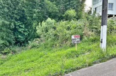 Terreno à venda, 360 m² por r$ 290.000,00 - morro da bina - biguaçu/sc