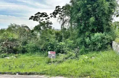 Terreno à venda, 360 m² por r$ 290.000,00 - morro da bina - biguaçu/sc