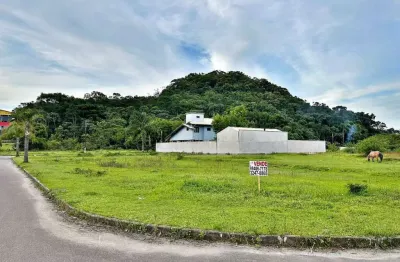 Terreno à venda, 451 m² por r$ 380.000,00 - morro da bina - biguaçu/sc