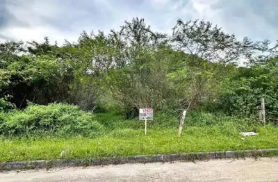 Terreno à venda, 360 m² por r$ 290.000,00 - morro da bina - biguaçu/sc