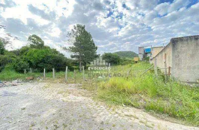 Terreno comercial à venda na Rua Leo Pauli, Areias, São José