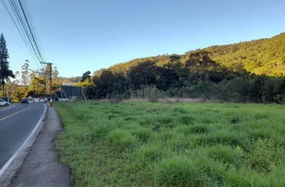 Terreno comercial para alugar em Vigolo, Nova Trento 
