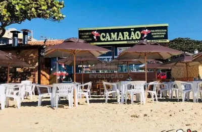 Terreno comercial à venda na Estrada Dom João Becker, Ingleses, Florianópolis
