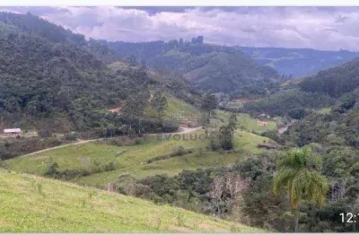 Chácara / sítio com 3 quartos à venda no Centro, Alfredo Wagner 