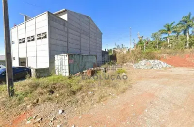 Terreno à venda, 611 m² - escritura pública- - alto aririu - palhoça/sc