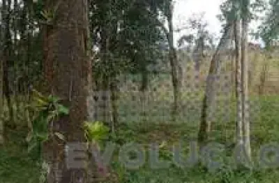 Chácara com 20.000m², selo orgânico em rancho queimado sc