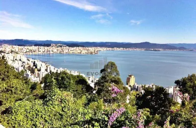 Linda casa com 4 dorms com suíte, 410 m² - morro da cruz - florianópolis/sc