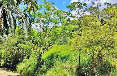 Terreno à venda no Braço São João, Santo Amaro da Imperatriz 
