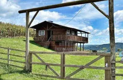 Chácara / sítio com 3 quartos à venda no Centro, Alfredo Wagner 