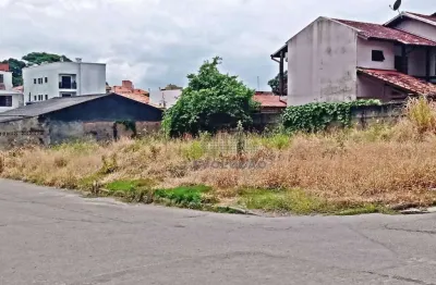 Terreno à venda na Rua Vergilino Domingos da Silva, Serraria, São José