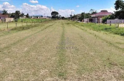 Terreno à venda na Servidão Bittencourt, Guarda do Cubatão, Palhoça