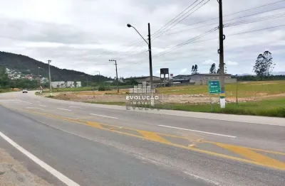 Terreno comercial à venda na Avenida Deltaville, Beira Rio, Biguaçu