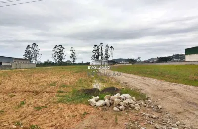Terreno comercial à venda na Avenida Deltaville, Beira Rio, Biguaçu