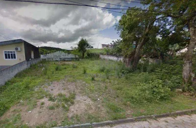 Terreno à venda na Travessa Antônio Gabriel Prim, Bom Viver, Biguaçu