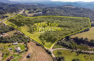 Terreno comercial à venda na estrada dom rodrigo, itaqui de cima, campo largo, 131784 m2 por r$ 20.000.000