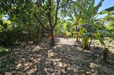Chácara / sítio com 2 quartos à venda na Rua Plínio Nascimento, 270, Nova Veneza, Paulínia