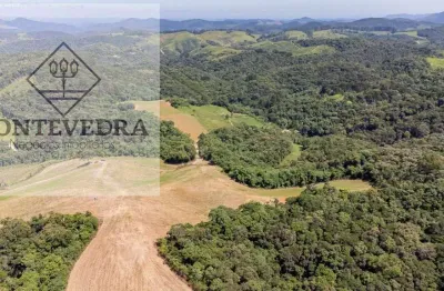 Área para venda em campo magro, roseira de santa rita